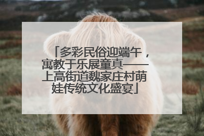 多彩民俗迎端午，寓教于乐展童真——上高街道魏家庄村萌娃传统文化盛宴