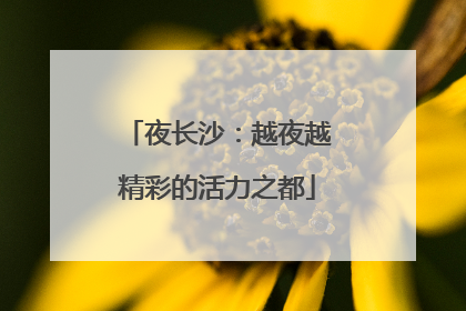 夜长沙：越夜越精彩的活力之都