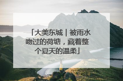 大美东城｜被雨水吻过的荷塘，藏着整个夏天的温柔