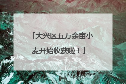 大兴区五万余亩小麦开始收获啦！