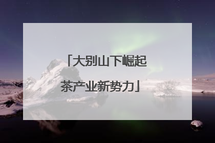 大别山下崛起茶产业新势力