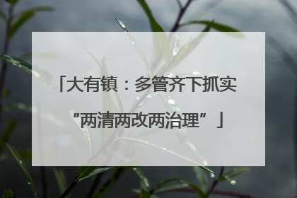 大有镇：多管齐下抓实“两清两改两治理”