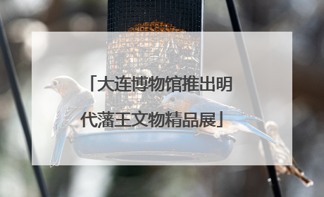 大连博物馆推出明代藩王文物精品展