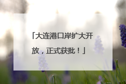 大连港口岸扩大开放，正式获批！