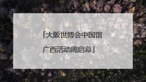 大阪世博会中国馆广西活动周启幕