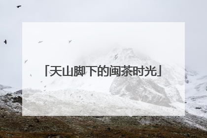 天山脚下的闽茶时光