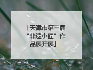 天津市第三届“非遗小匠”作品展开展