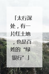 太行深处，有一片红土地，也是百姓的“绿银行”