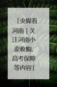央媒看河南｜关注河南小麦收购、高考保障等内容