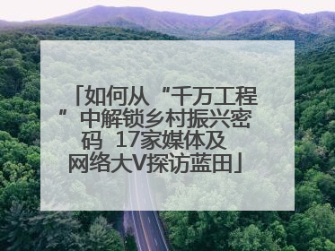 如何从“千万工程”中解锁乡村振兴密码  17家媒体及网络大V探访蓝田
