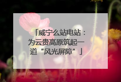 威宁么站电站：为云贵高原筑起一道“风光屏障”