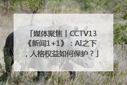媒体聚焦丨CCTV13《新闻1+1》：AI之下，人格权益如何保护？