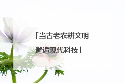 当古老农耕文明邂逅现代科技