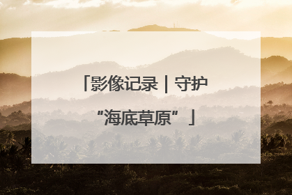 影像记录｜守护“海底草原”