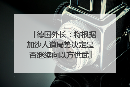 德国外长：将根据加沙人道局势决定是否继续向以方供武