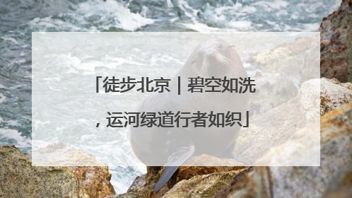 徒步北京｜碧空如洗，运河绿道行者如织