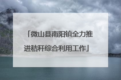 微山县南阳镇全力推进秸秆综合利用工作
