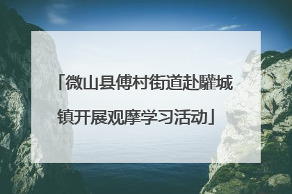 微山县傅村街道赴驩城镇开展观摩学习活动