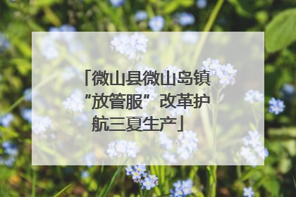 微山县微山岛镇“放管服”改革护航三夏生产