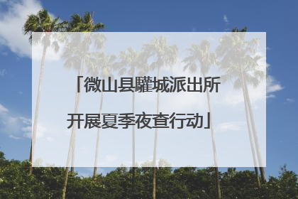 微山县驩城派出所开展夏季夜查行动