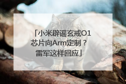 小米辟谣玄戒O1芯片向Arm定制？雷军这样回应