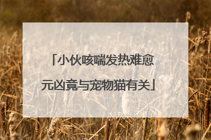 小伙咳喘发热难愈 元凶竟与宠物猫有关
