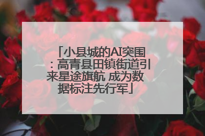 小县城的AI突围：高青县田镇街道引来星途旗航 成为数据标注先行军