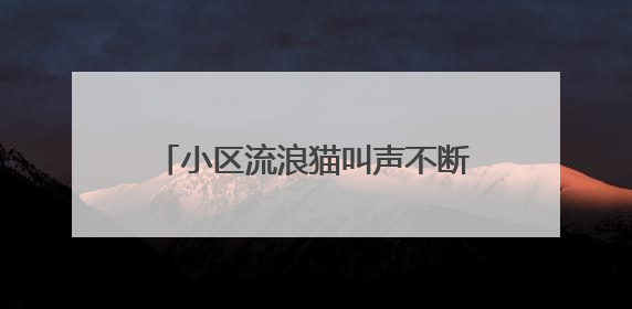 小区流浪猫叫声不断？民情快办出招啦！