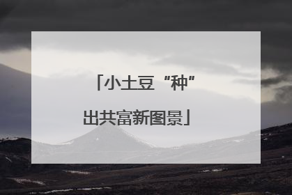小土豆“种”出共富新图景