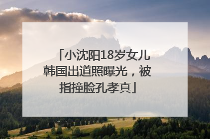 小沈阳18岁女儿韩国出道照曝光，被指撞脸孔孝真