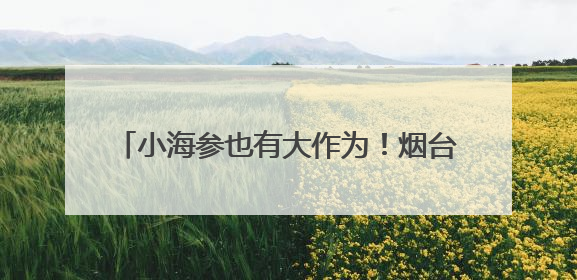小海参也有大作为！烟台打造海参特色城市名片