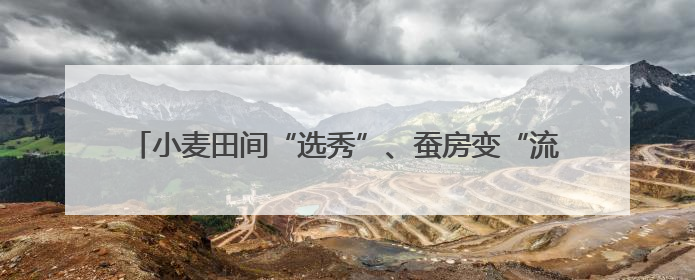小麦田间“选秀”、蚕房变“流水线”……三夏收获正在进行