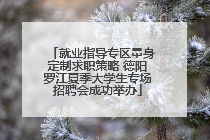 就业指导专区量身定制求职策略 德阳罗江夏季大学生专场招聘会成功举办