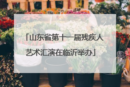 山东省第十一届残疾人艺术汇演在临沂举办