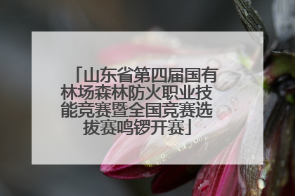 山东省第四届国有林场森林防火职业技能竞赛暨全国竞赛选拔赛鸣锣开赛