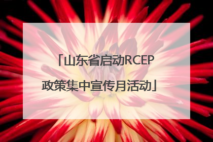 山东省启动RCEP政策集中宣传月活动