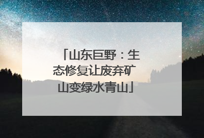 山东巨野：生态修复让废弃矿山变绿水青山