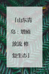 山东青岛：增殖放流 修复生态