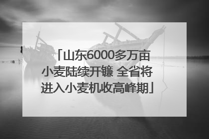 山东6000多万亩小麦陆续开镰 全省将进入小麦机收高峰期