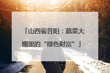 山西省昔阳：蔬菜大棚里的“绿色财富”
