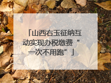 山西右玉征纳互动实现办税缴费“一次不用跑”