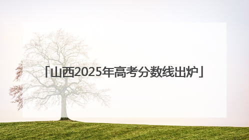 山西2025年高考分数线出炉