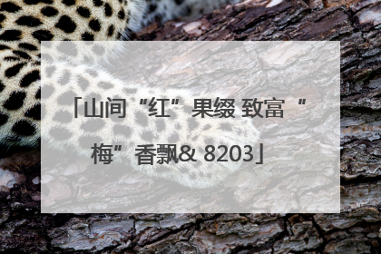 山间“红”果缀 致富“梅”香飘& 8203