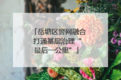 岳塘区警网融合 打通基层治理“最后一公里”