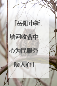岳阳市新墙河收费中心为民服务暖人心
