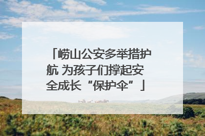 崂山公安多举措护航 为孩子们撑起安全成长“保护伞”