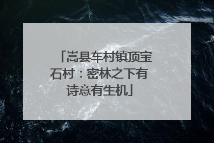 嵩县车村镇顶宝石村：密林之下有诗意有生机