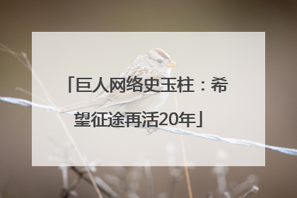巨人网络史玉柱：希望征途再活20年