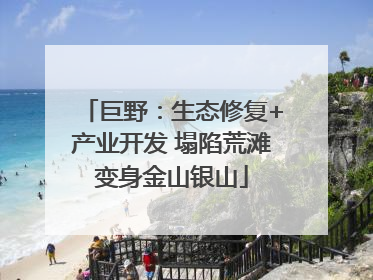 巨野：生态修复+产业开发 塌陷荒滩变身金山银山
