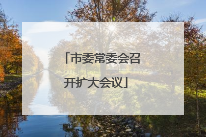 市委常委会召开扩大会议